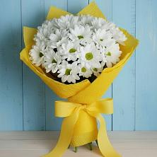 Букет цветов из:  Хризантемы в Железноводском