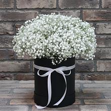 Цветочная композиция из Гипсофила в шляпной коробке #REPLACE_PRED# Железноводском